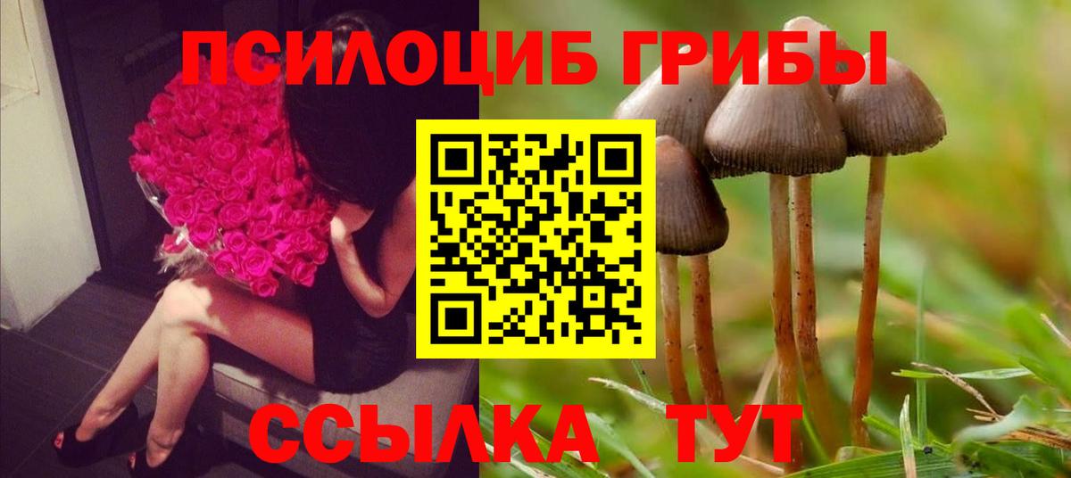 Псилоцибиновые грибы Magic Shrooms Карталы